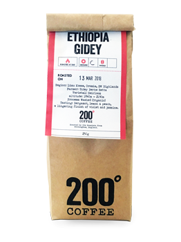 200 Degrees - Ethiopia Gidey 